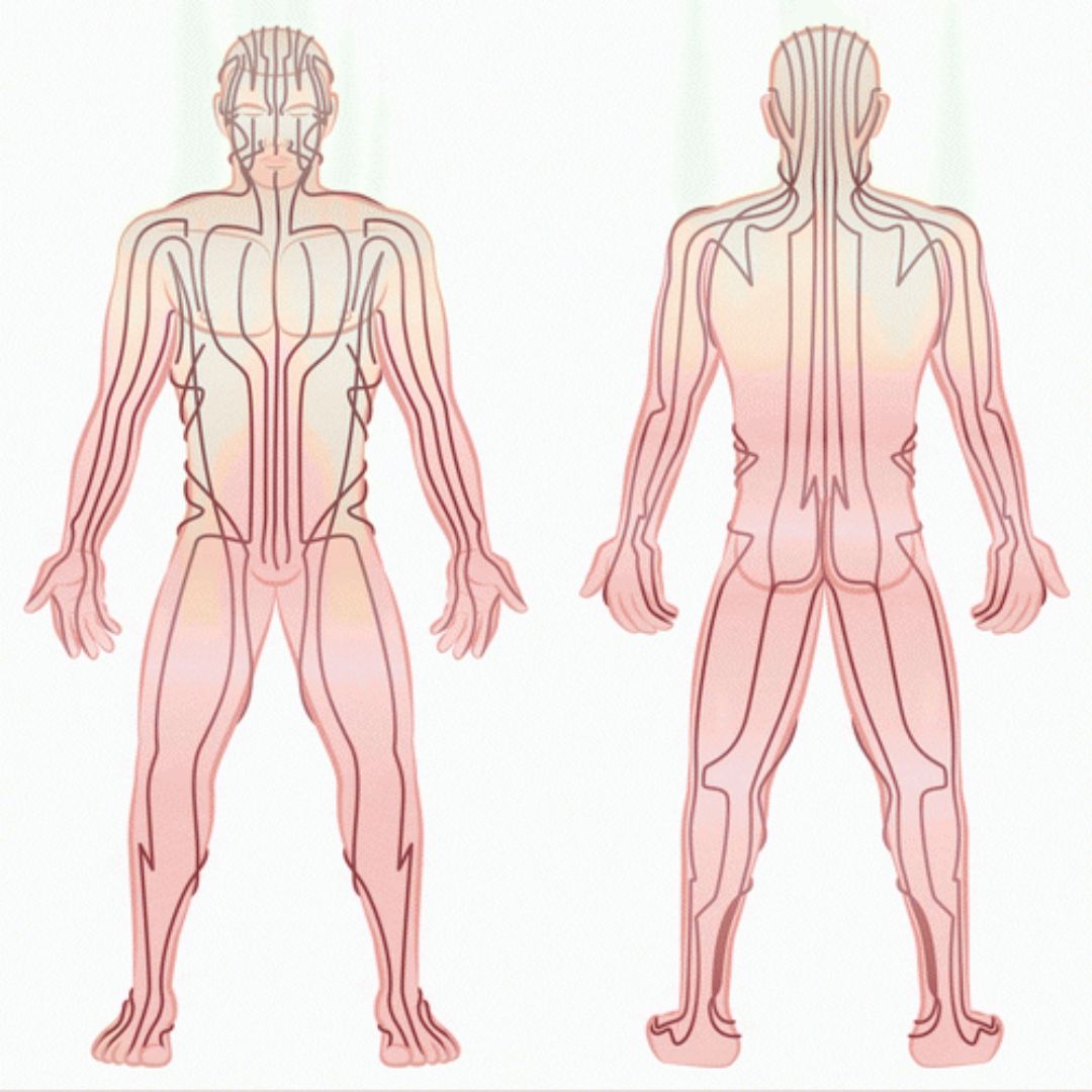 The Link Between Thai Massage and Traditional Chinese Medicine
